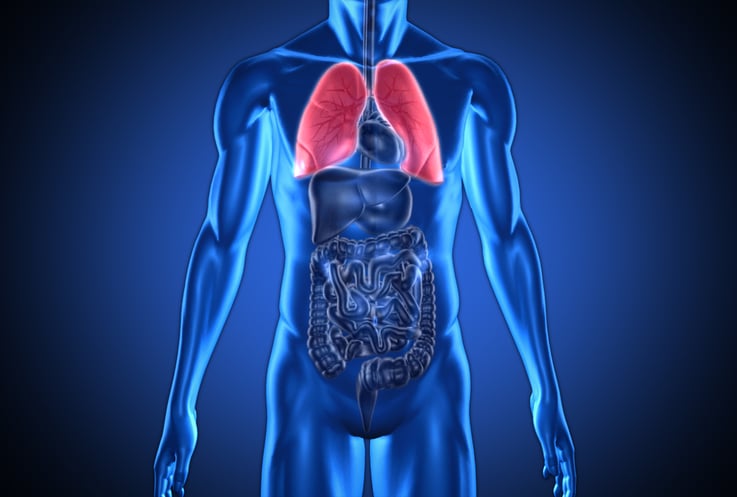 COPD Nutrition and COPD Medications